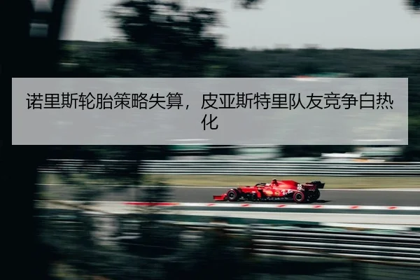 nuo-li-si-lun-tai-ce-lve-shi-suan-pi-ya-si-te-li-dui-you-jing-zheng-bai-re-hua-2-521.jpg