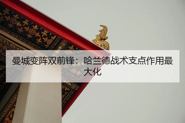 man-cheng-bian-zhen-shuang-qian-feng-ha-lan-de-zhan-shu-zhi-dian-zuo-yong-zui-da-hua-2-496.jpg