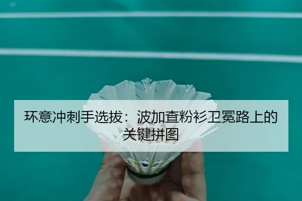 huan-yi-chong-ci-shou-xuan-ba-bo-jia-cha-fen-shan-wei-mian-lu-shang-de-guan-jian-pin-tu-2-567.jpg