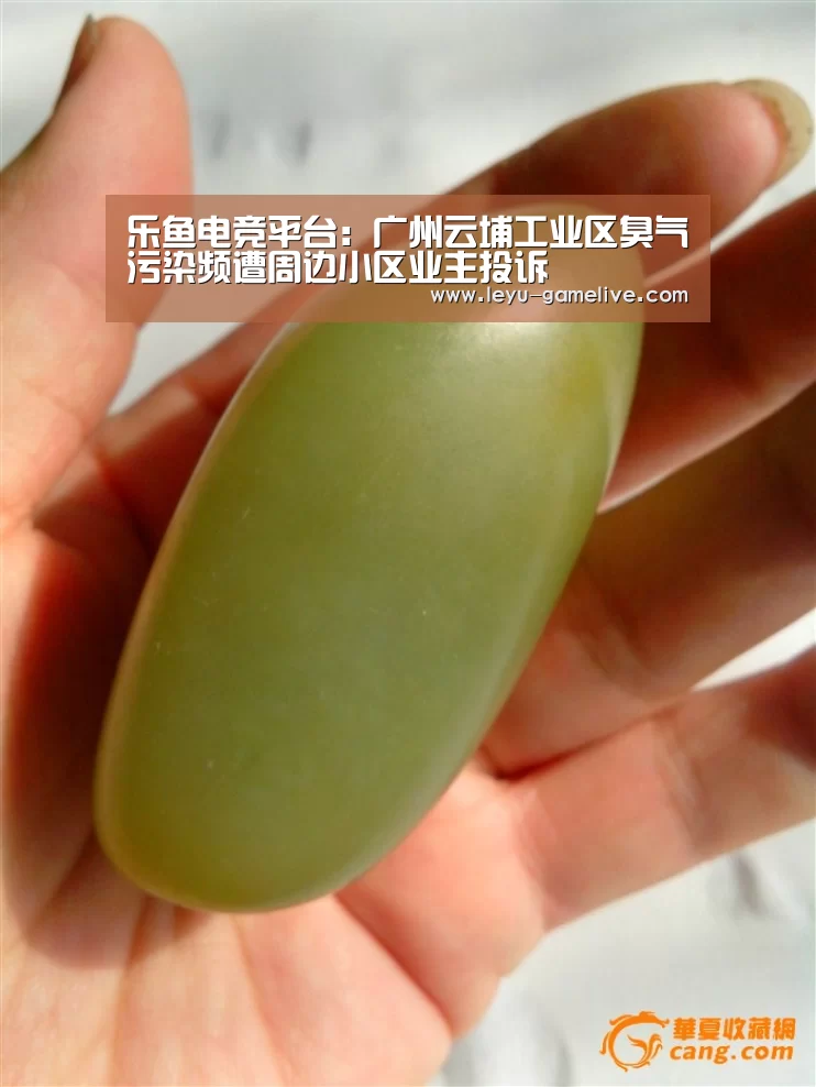 乐鱼电竞平台：广州云埔工业区臭气污染频遭周边小区业主投诉